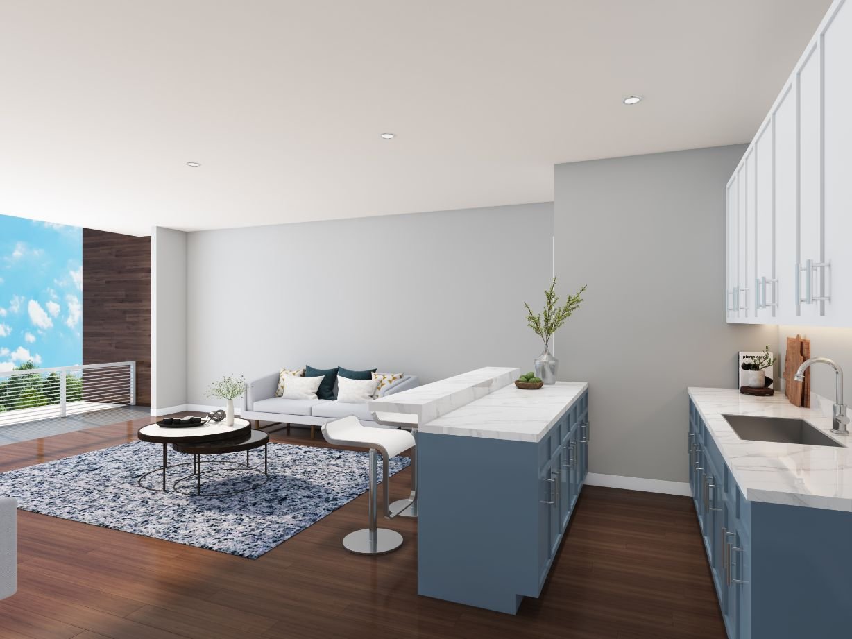 ROOF TOP AT FULTON AVE TOWNHOMES, EAST POINT, GA