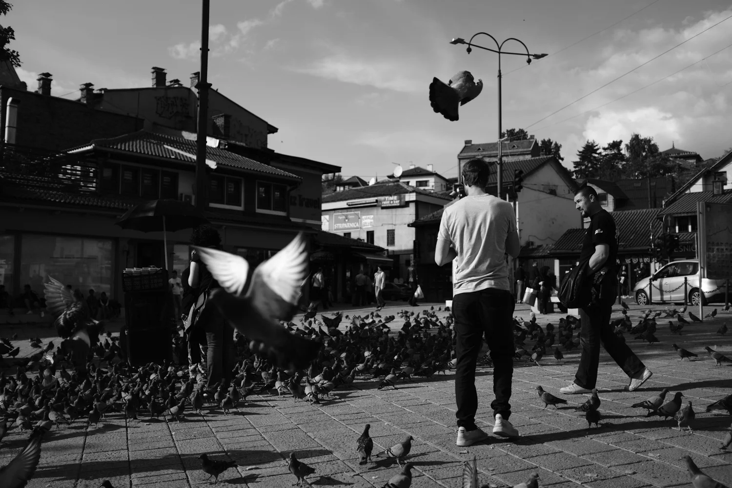 vogelsfotos portfolio geschichten spitanien-011.jpg
