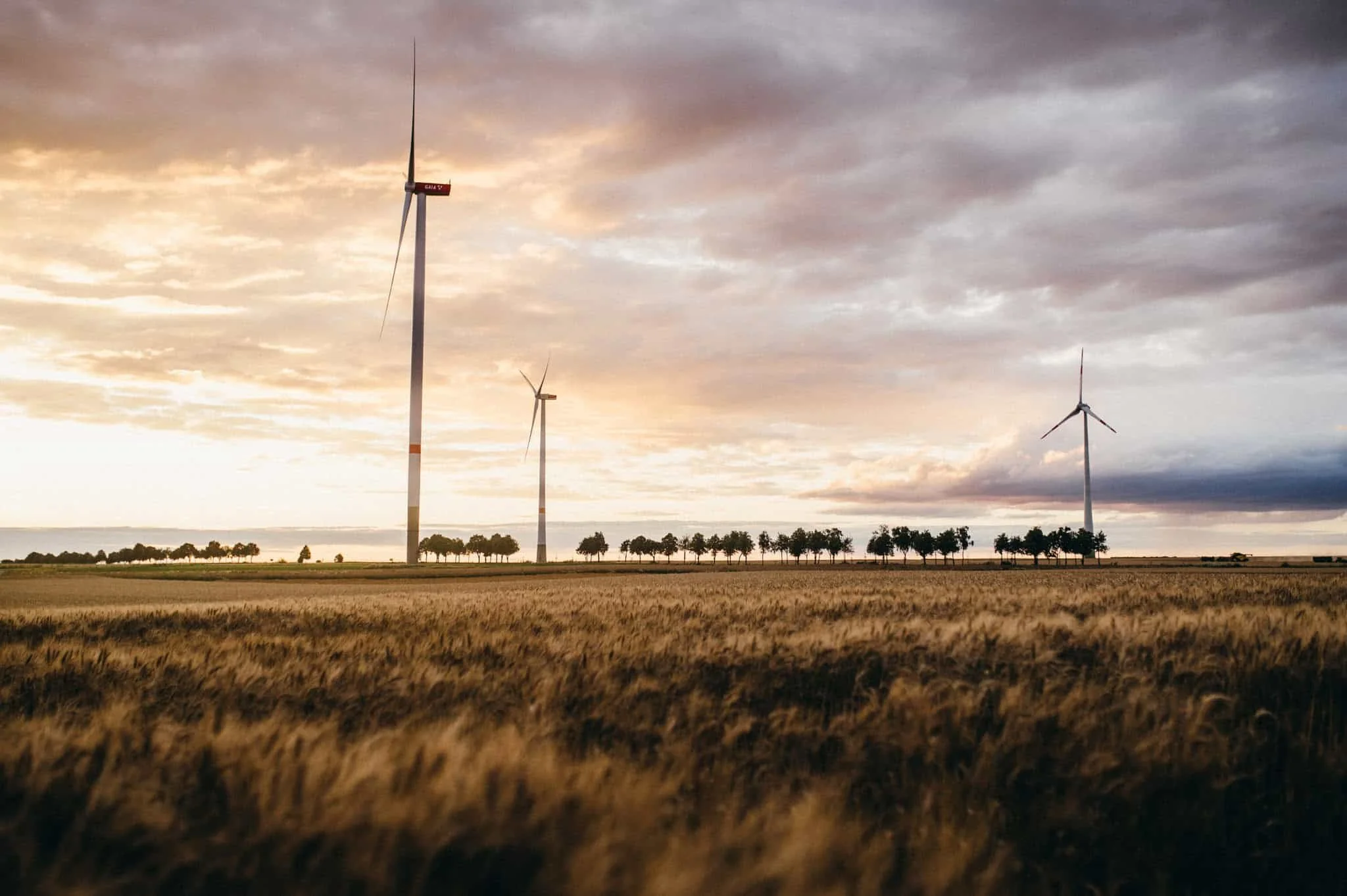 vogelsfotos Weingut Hahn hochzeit RheinMain-072.jpg