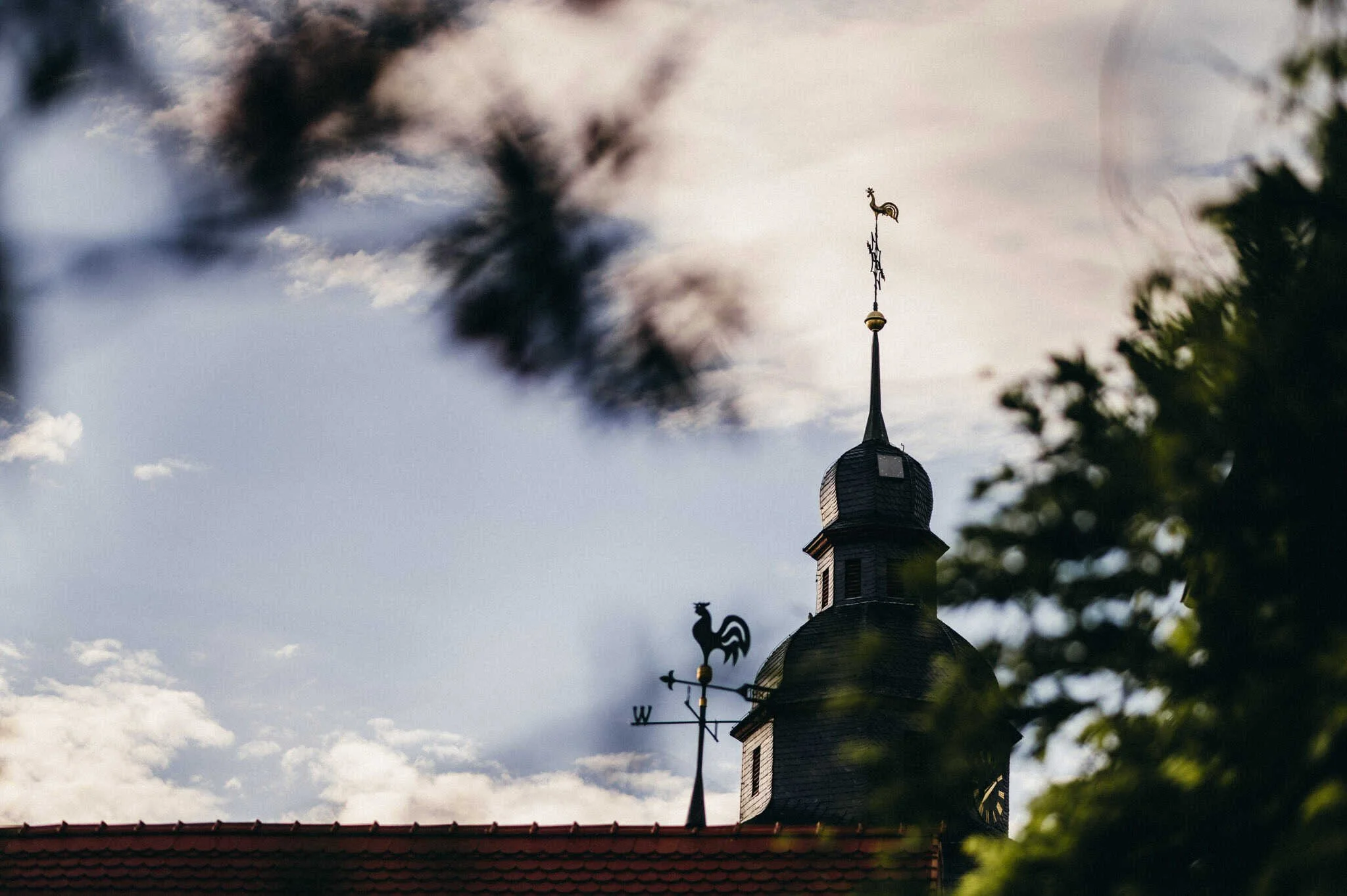 vogelsfotos Weingut Hahn hochzeit RheinMain-062.jpg