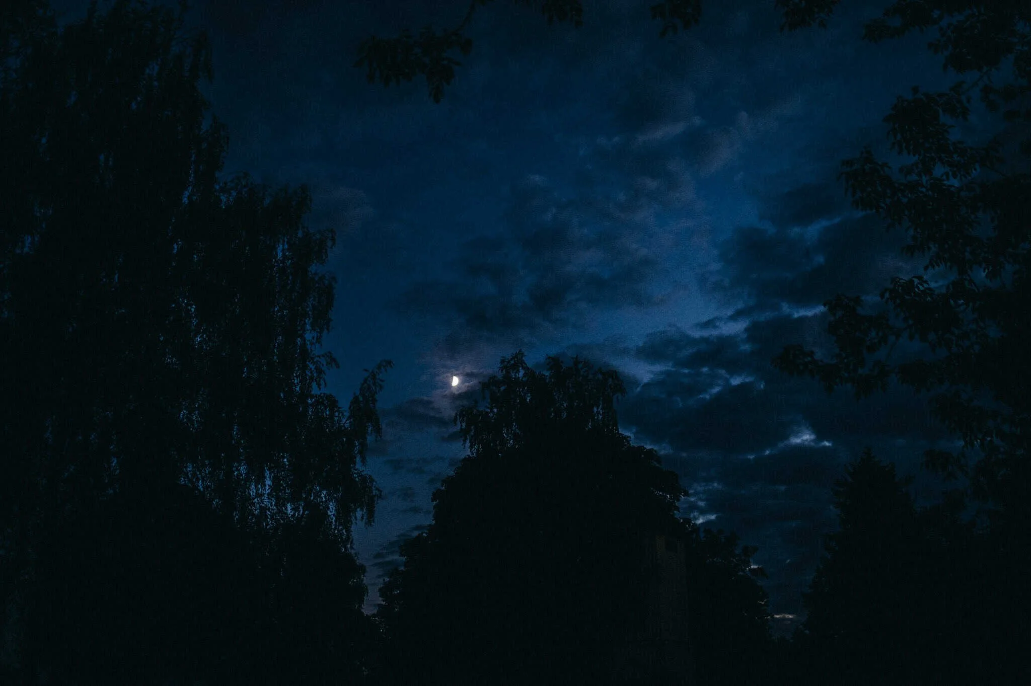 vogelsfotos Weingut Hahn hochzeit RheinMain-103.jpg