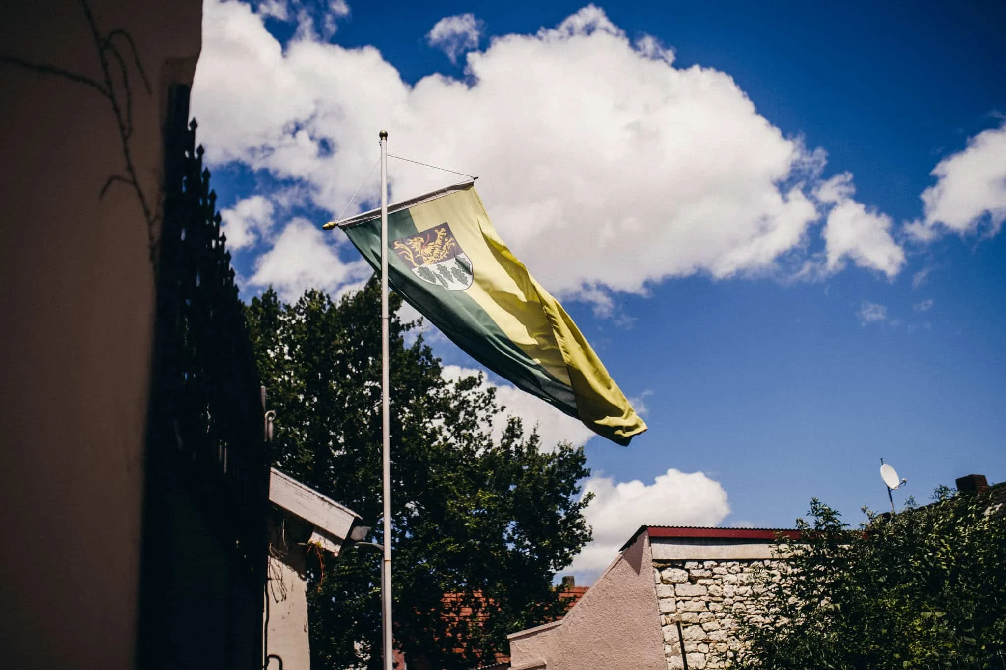 vogelsfotos Weingut Hahn hochzeit RheinMain-001.jpg