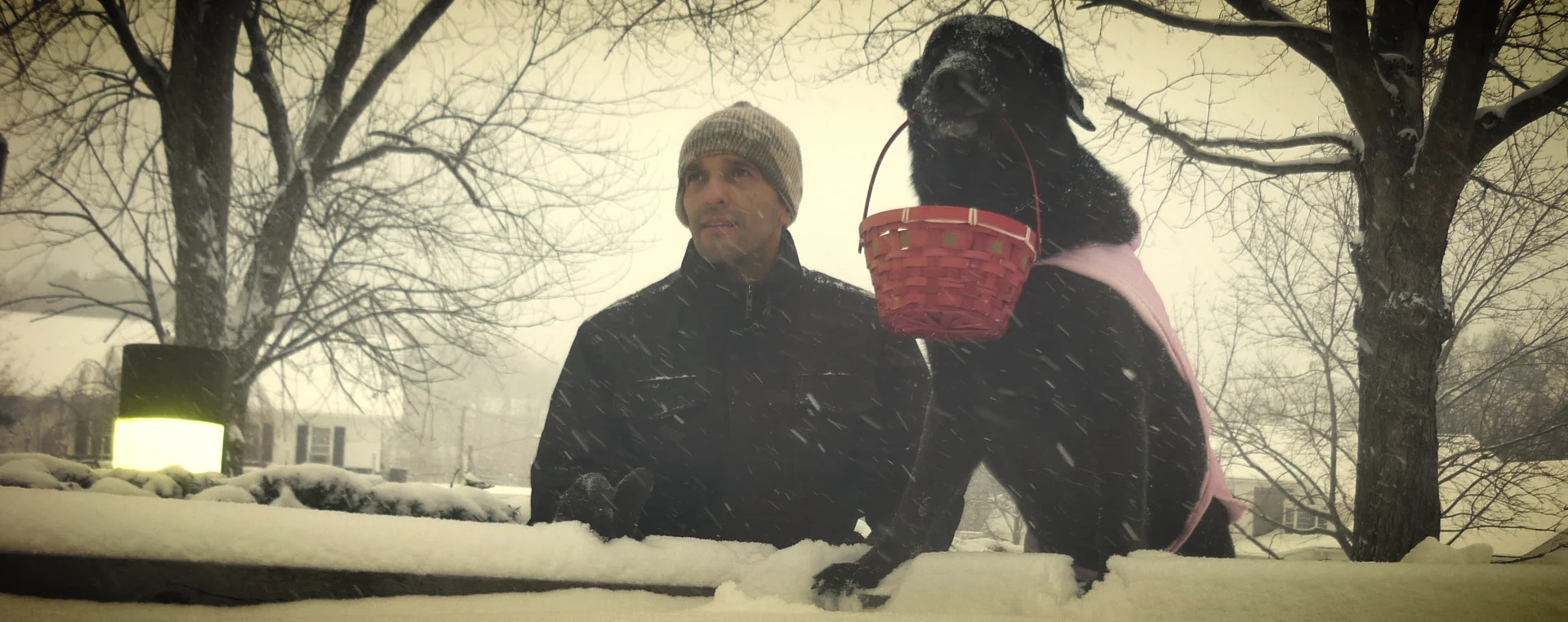 Copy of P1080933.JPG