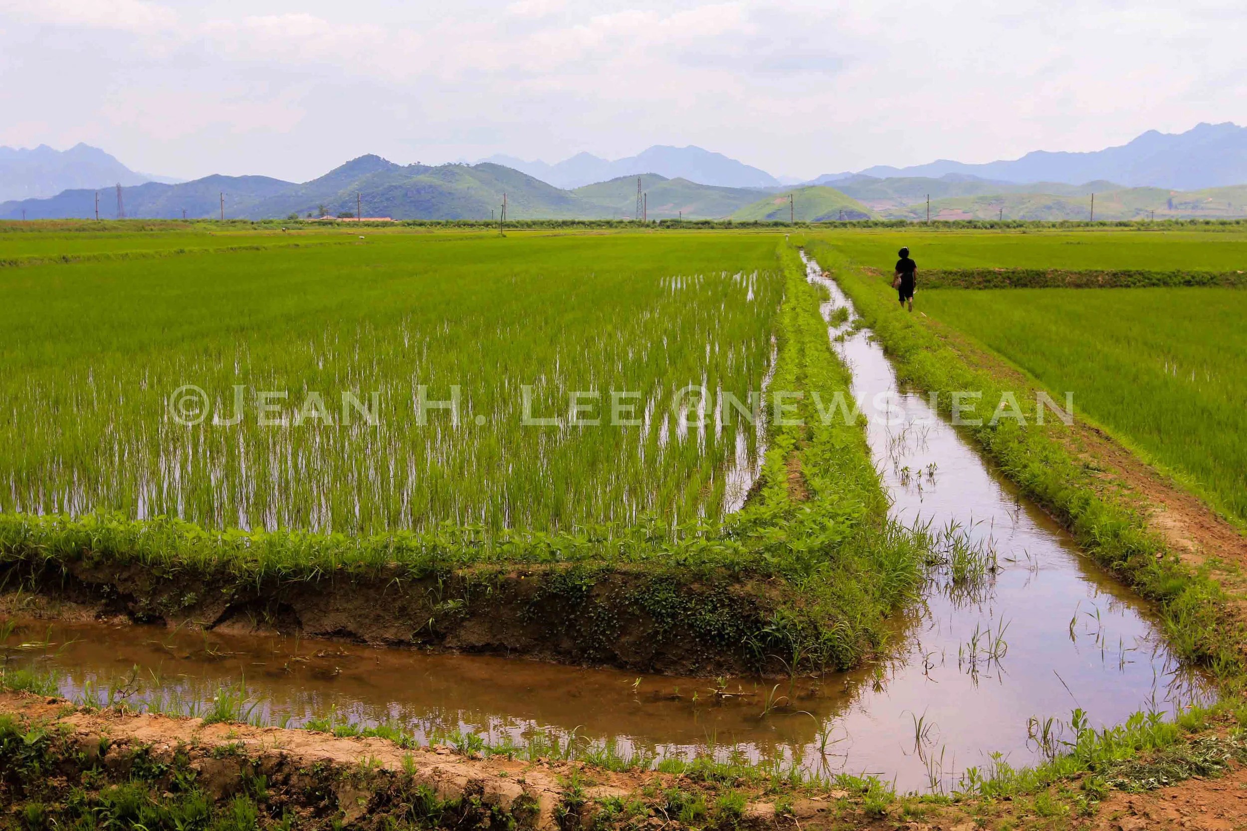 AP: Sweeping New Changes Expected at North Korean Farms 