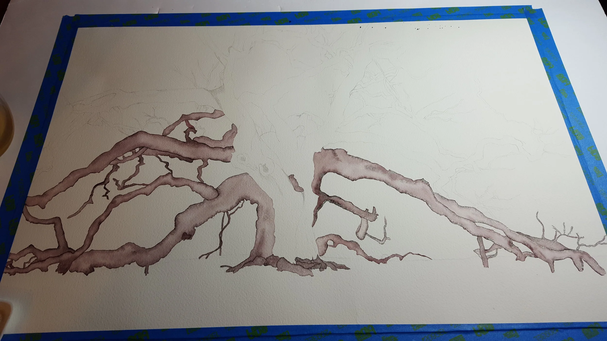 20161013_194623 - Copy.jpg