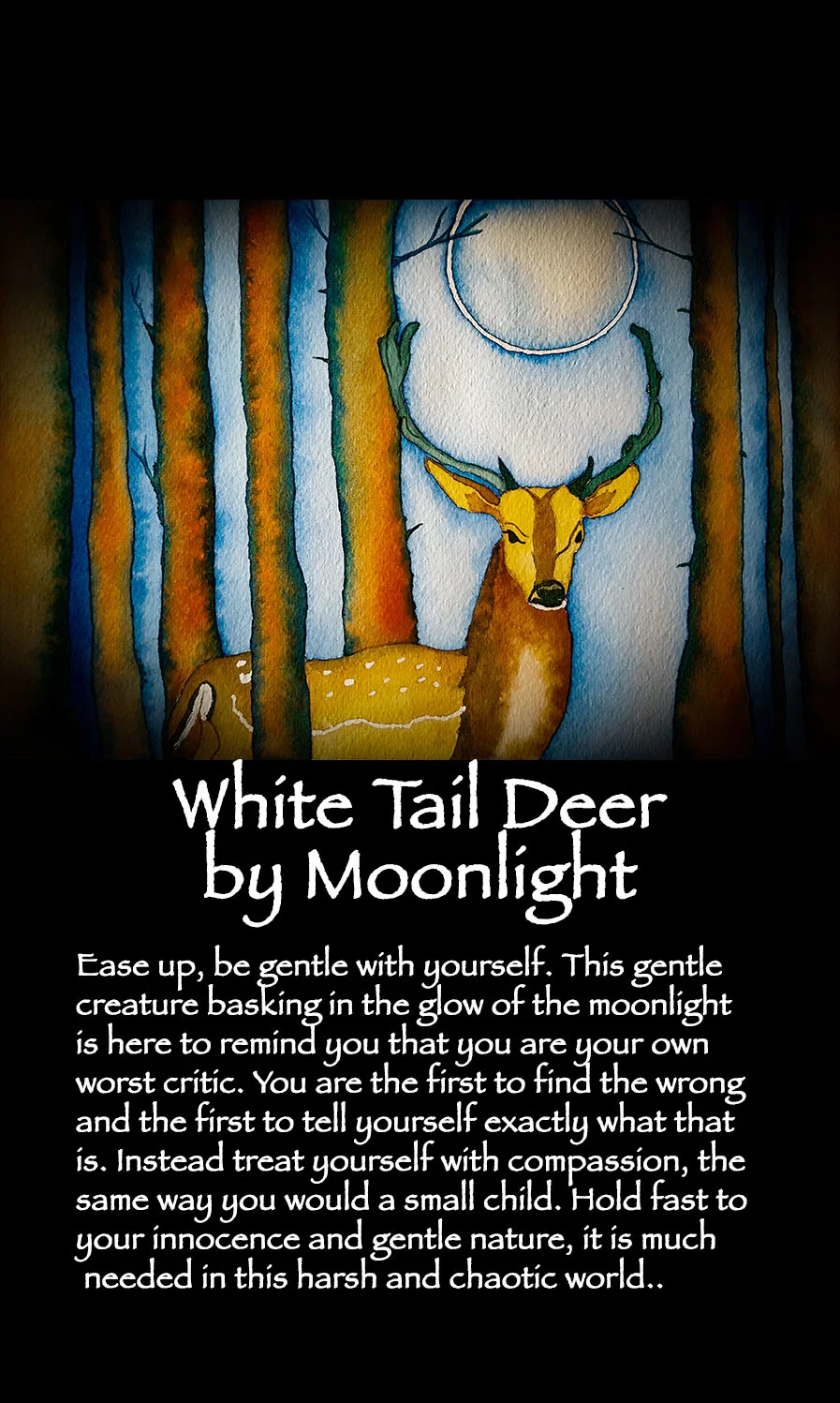 WhiteTailDeerbyMoonlightCard - Correction.jpg