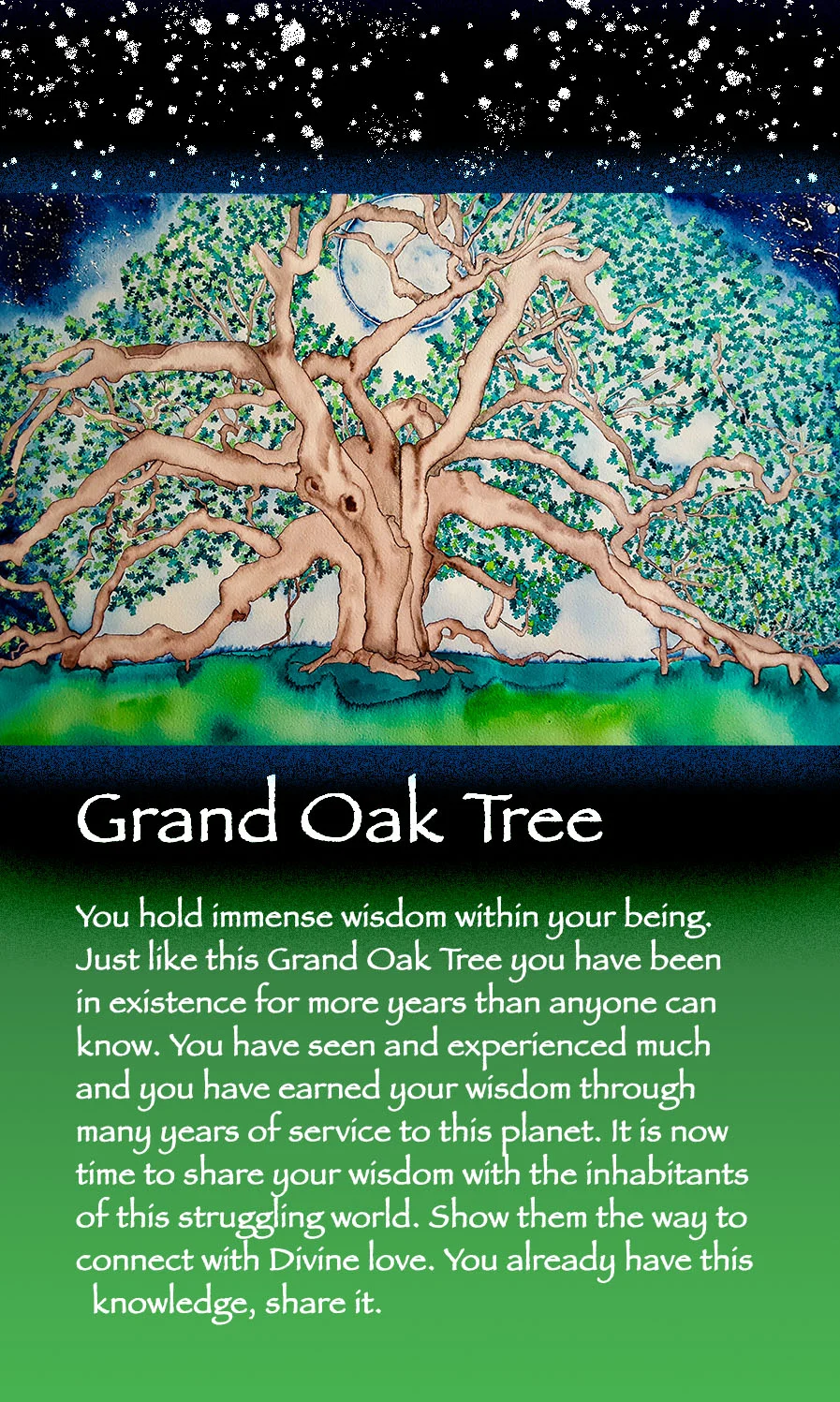 GrandOakTreeCard - Correction.jpg