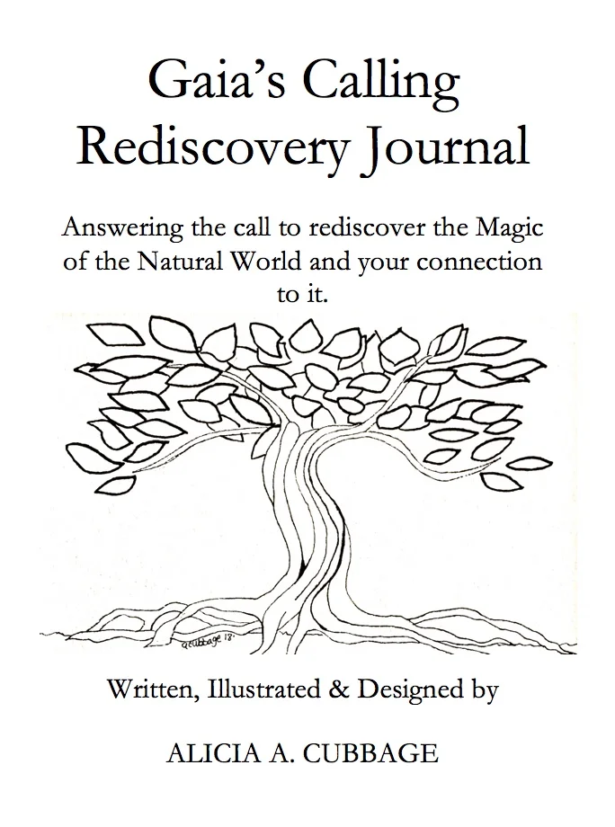 Rediscovery Journal Title Page.jpeg