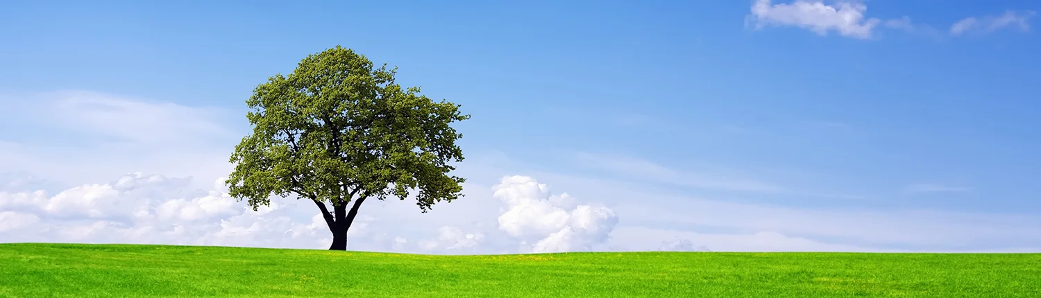 banner environment.jpg