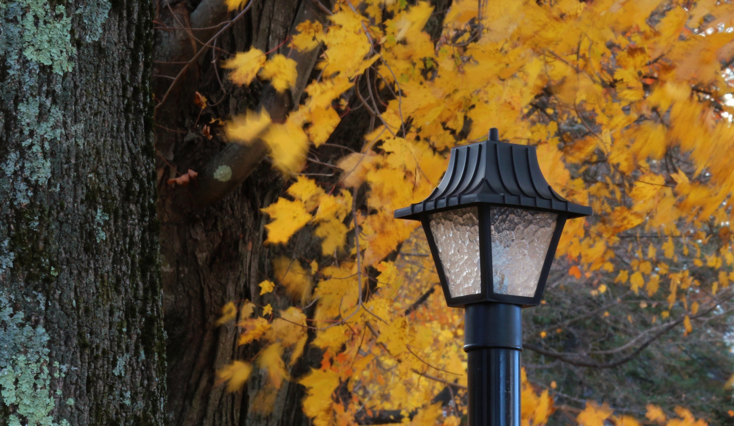 Lamp-Post