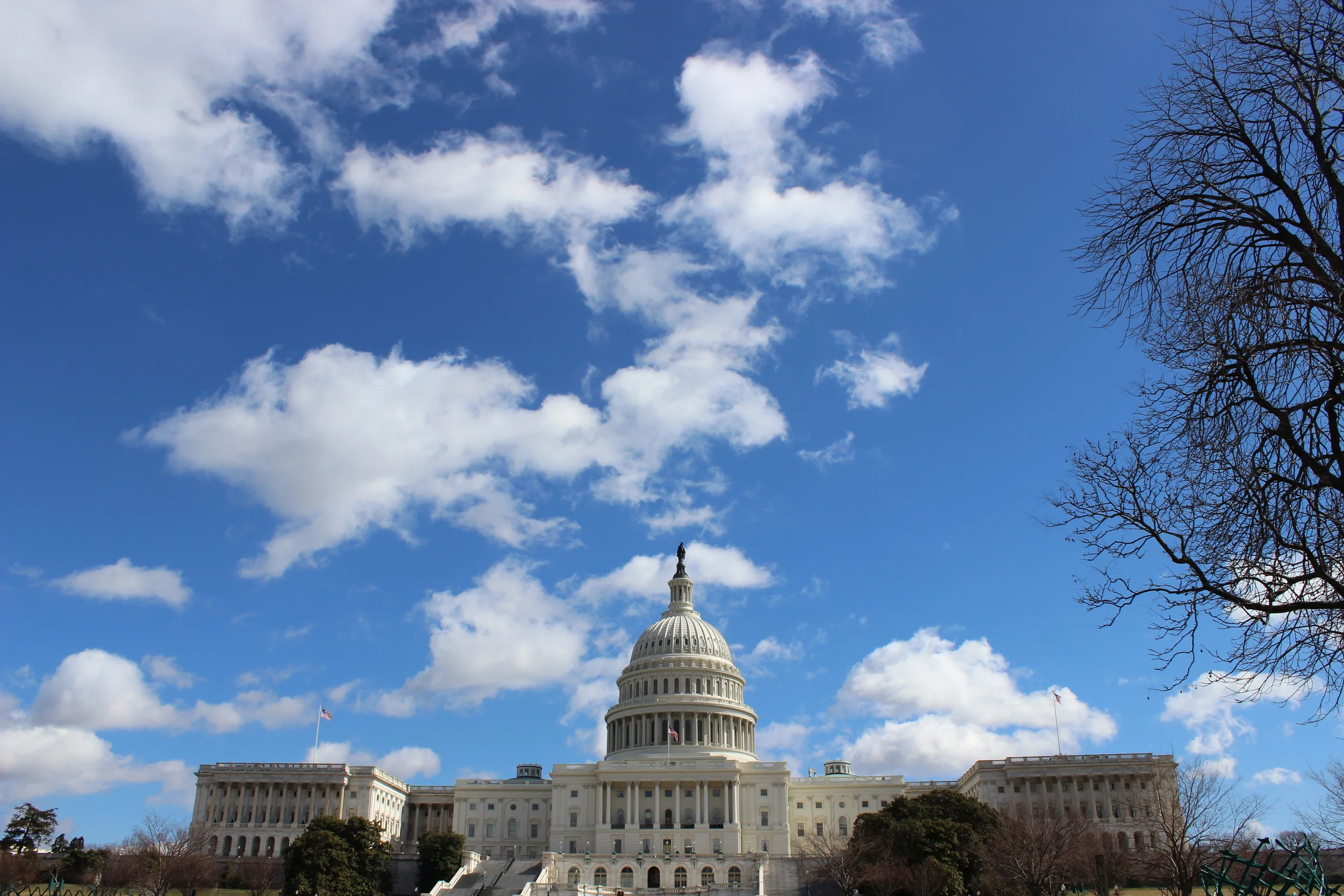 Brought Down to Size