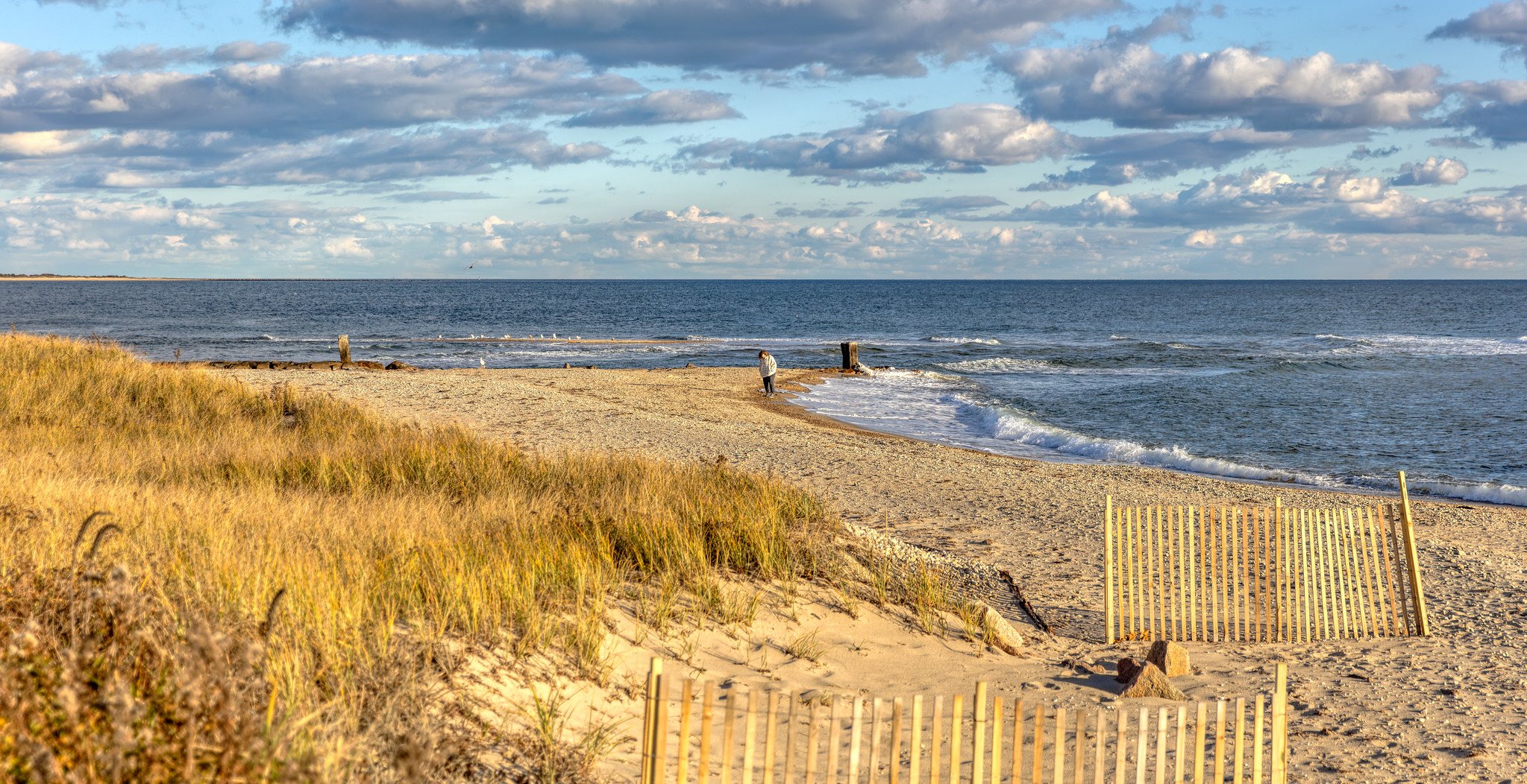 Beach (November 2025)