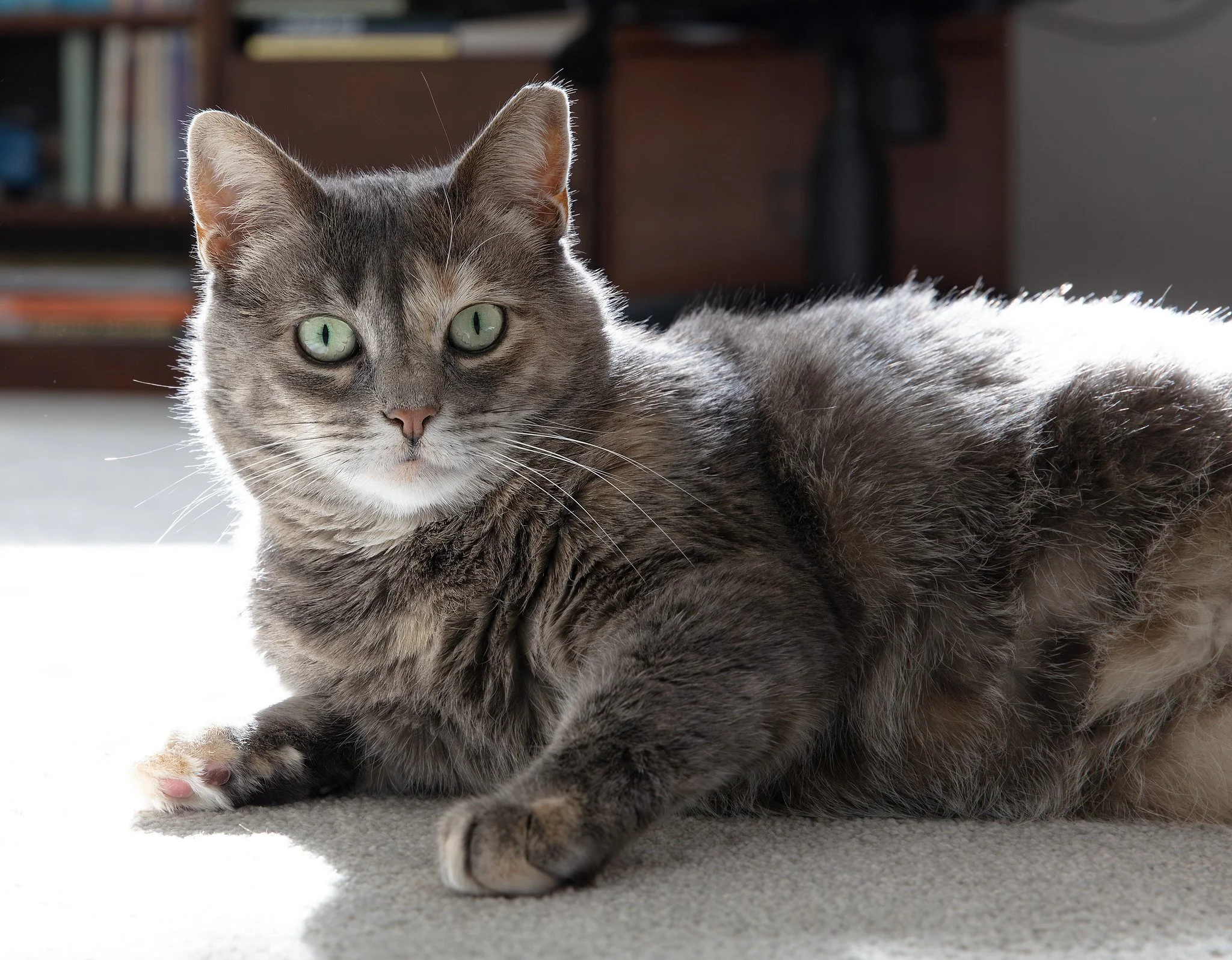 Minnie (November 2025)