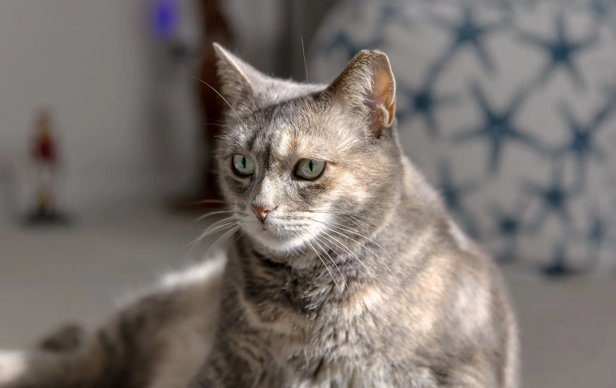 Minnie (November 2025)
