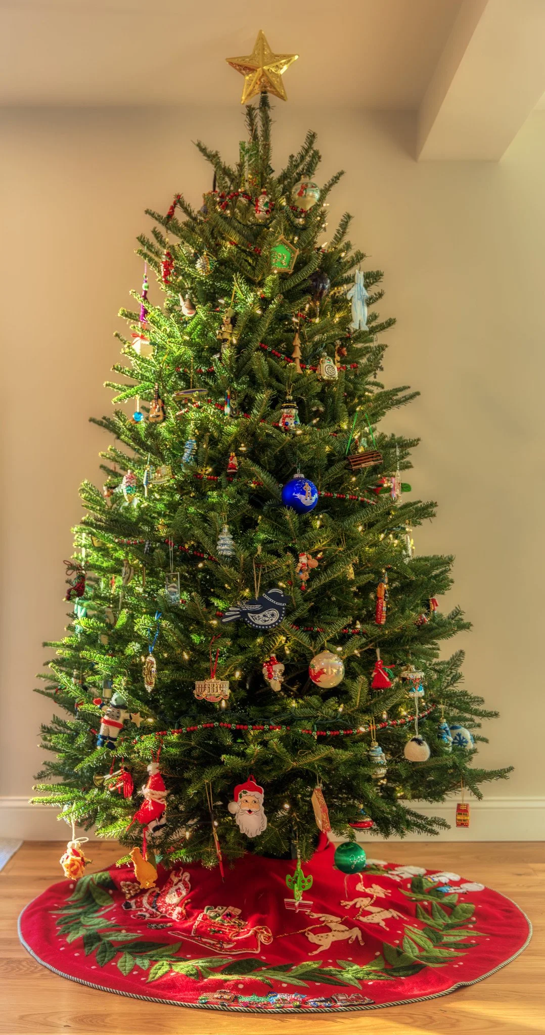 Christmas Decorations (December 2025)