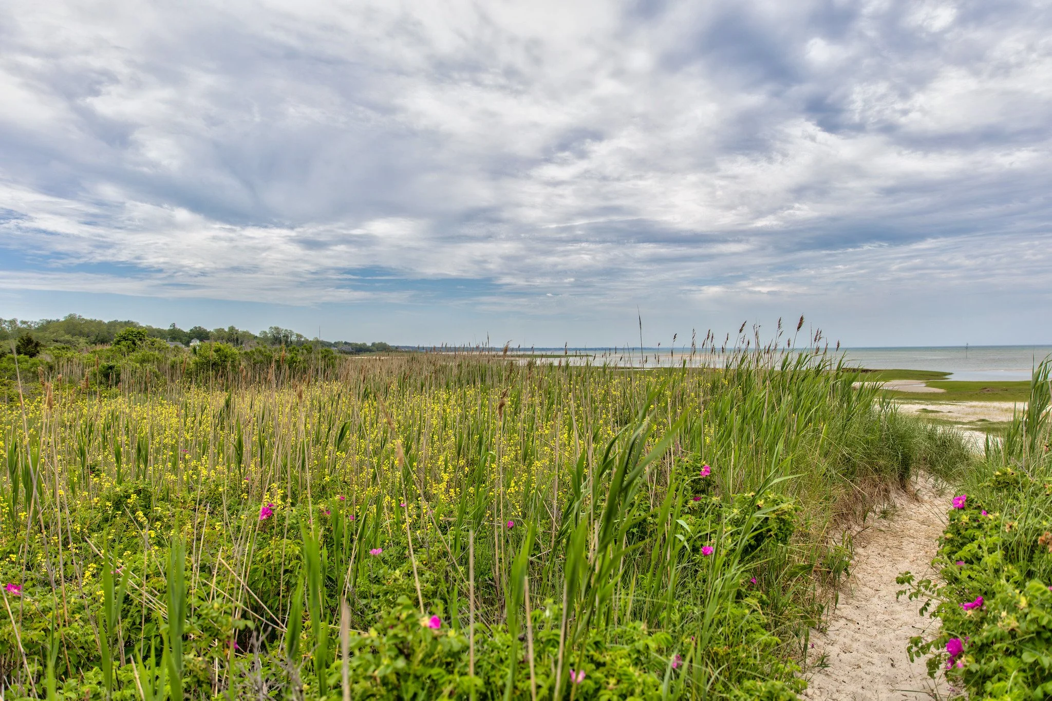 Rock Harbor Beach (June 2026)