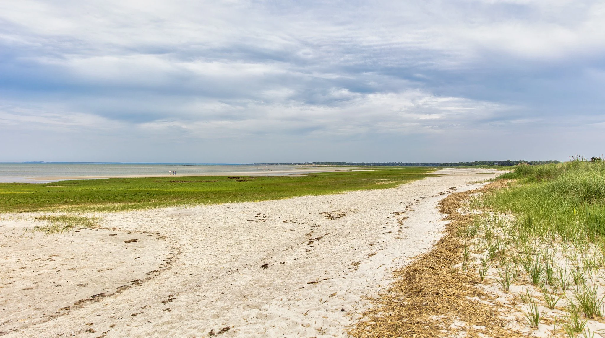 Rock Harbor Beach (June 2026)