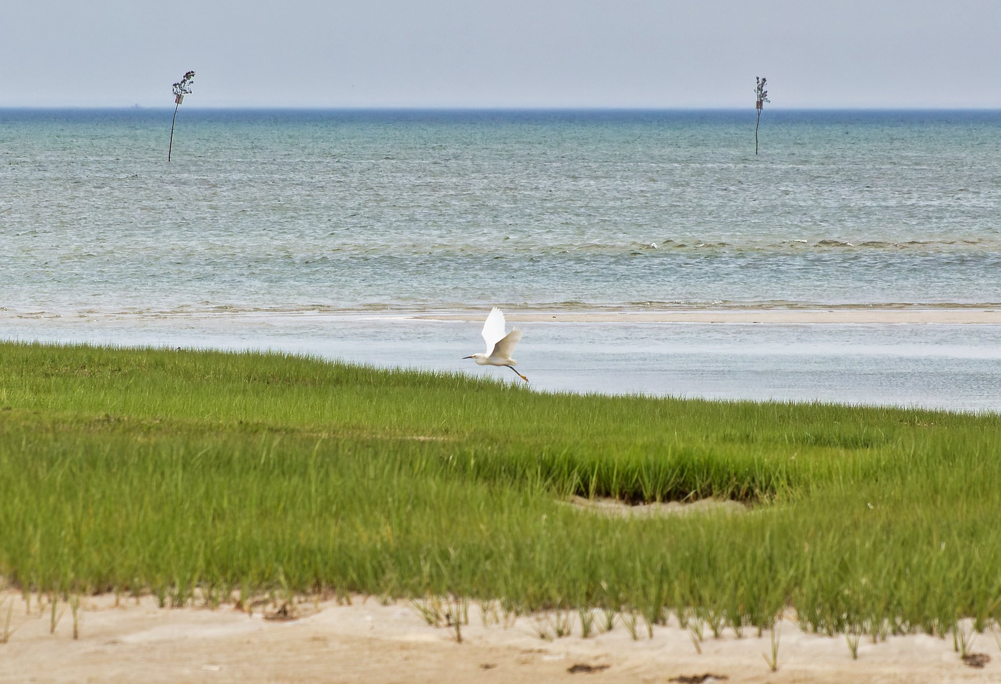Rock Harbor Beach (June 2026)
