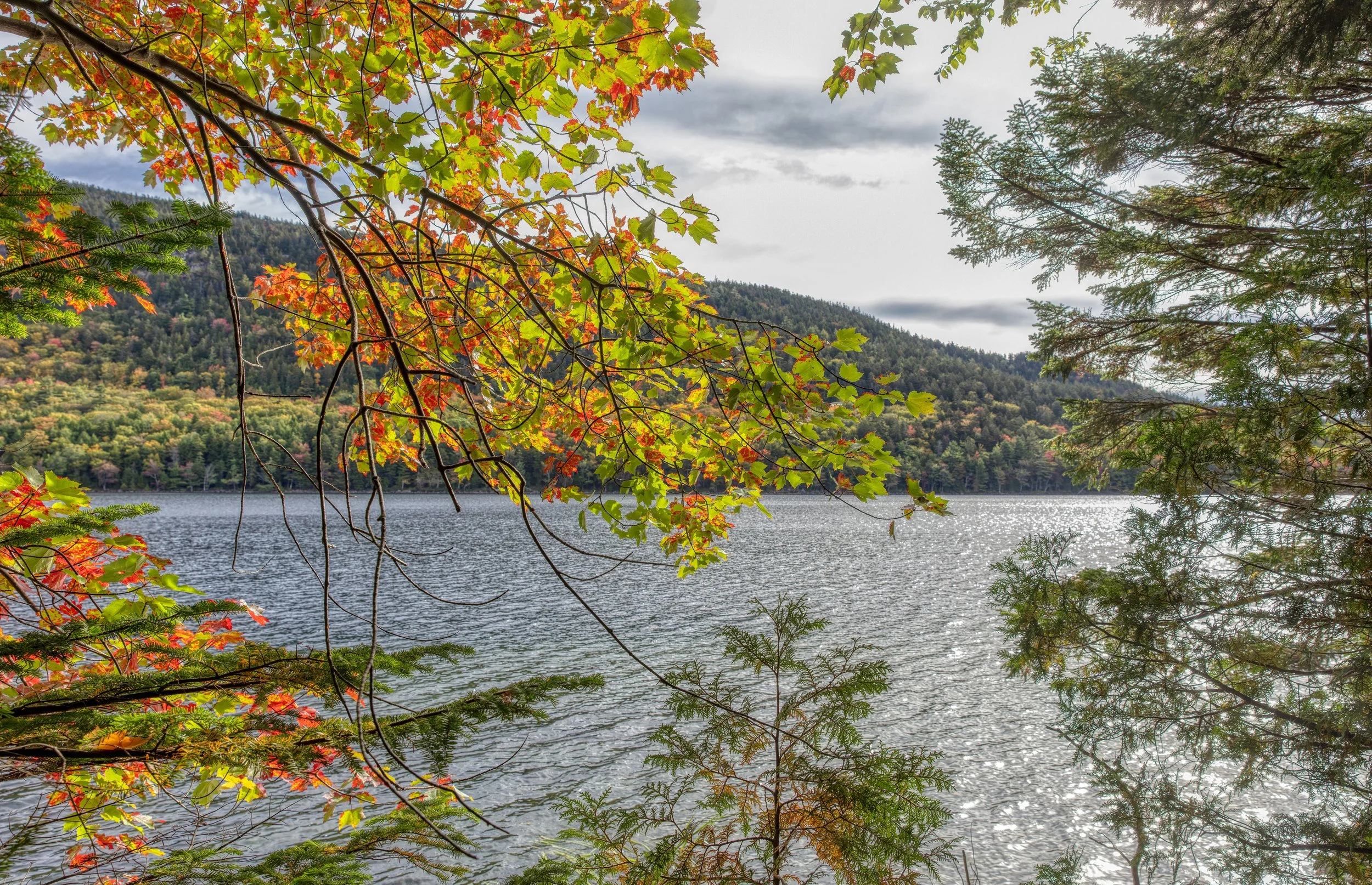 134A2708-Enhanced-NR_LI.jpg