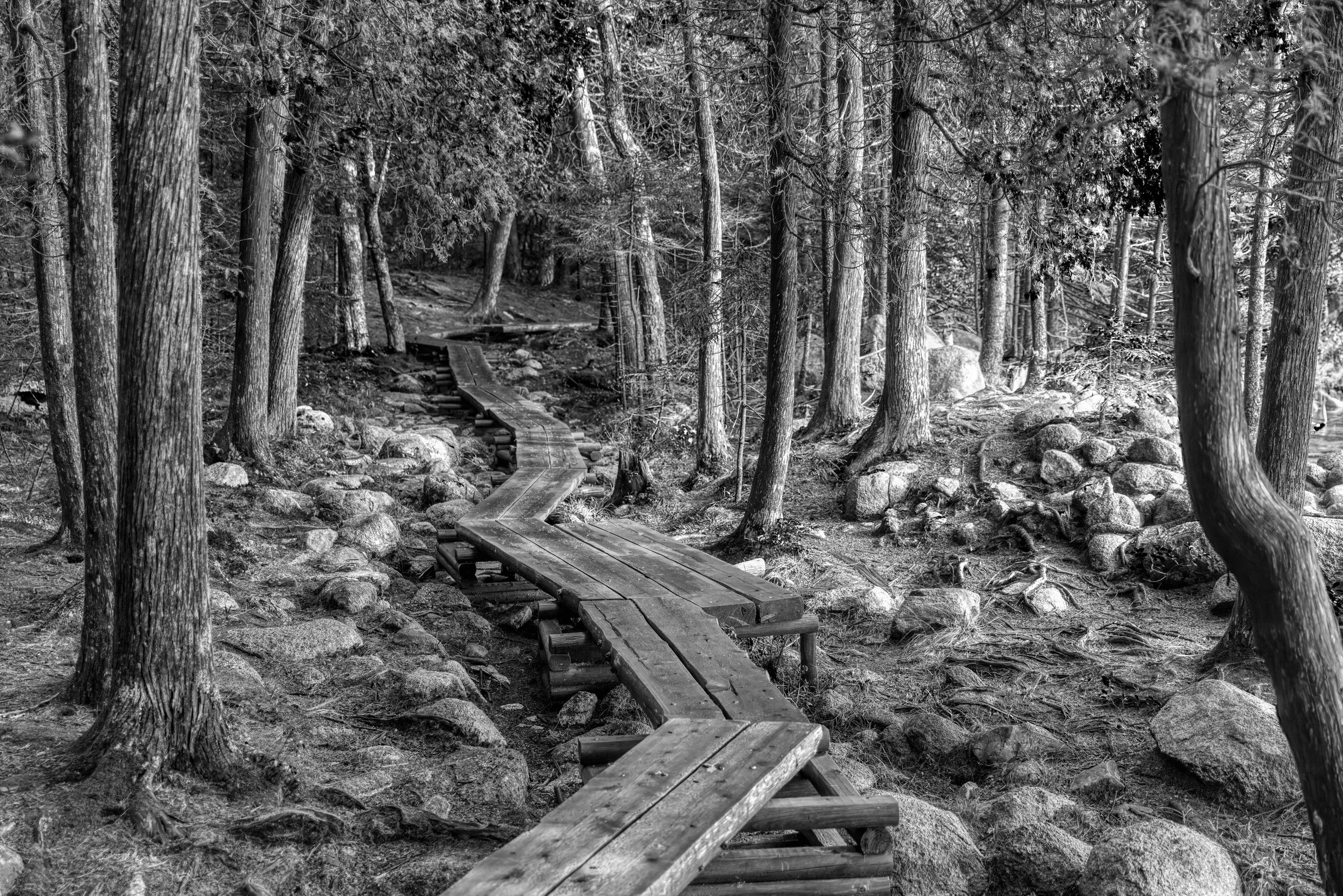 134A2699-Enhanced-BW_LI.jpg