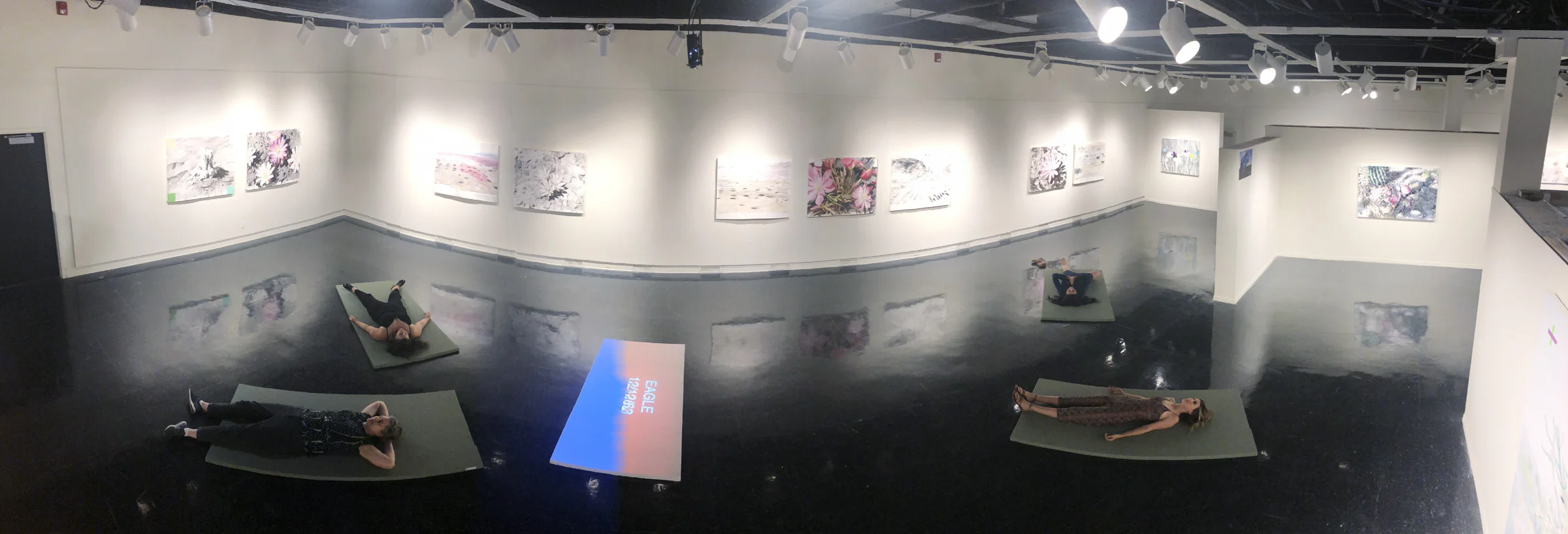 Superbloom-J.jpg
