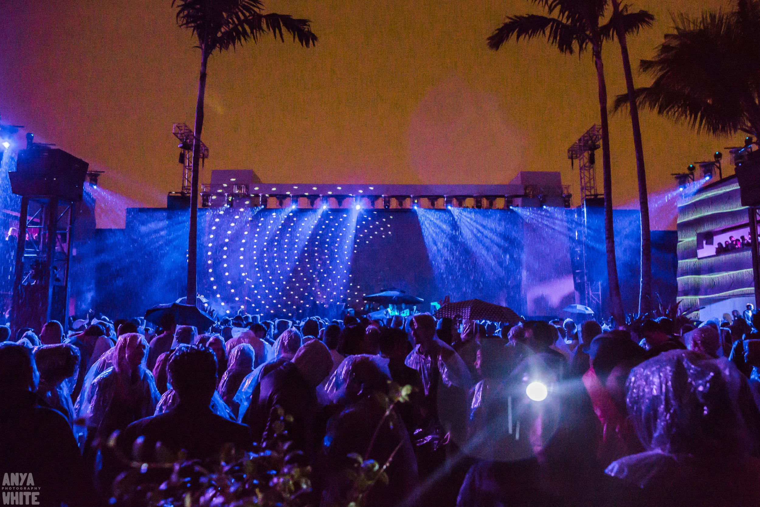 160521_Cityfox_BrooklynMirage_AnyaWhite-1757.jpg