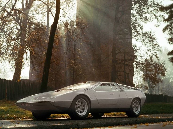 The 1970 Porsche Tapiro