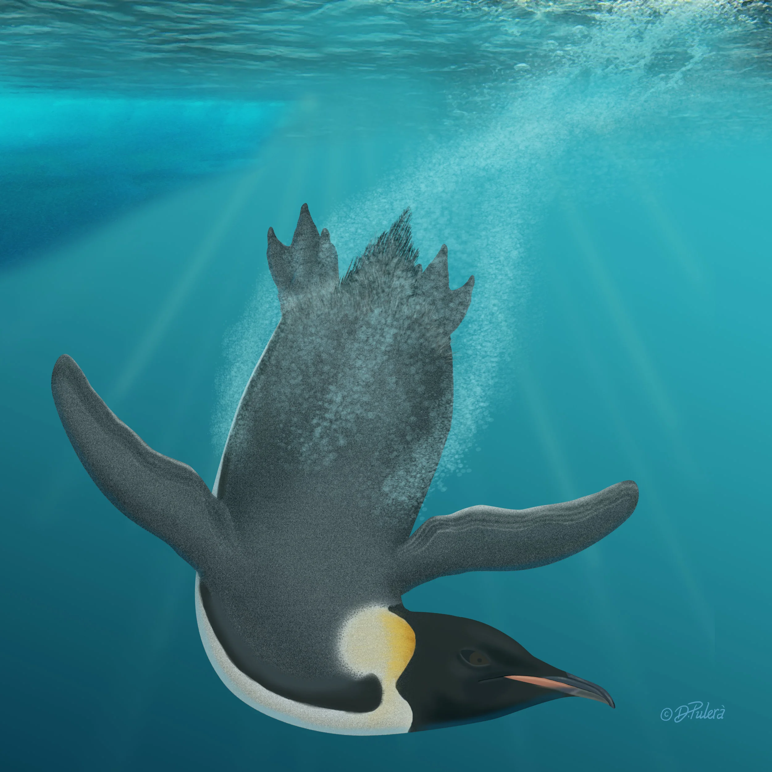 world penguin day.jpeg