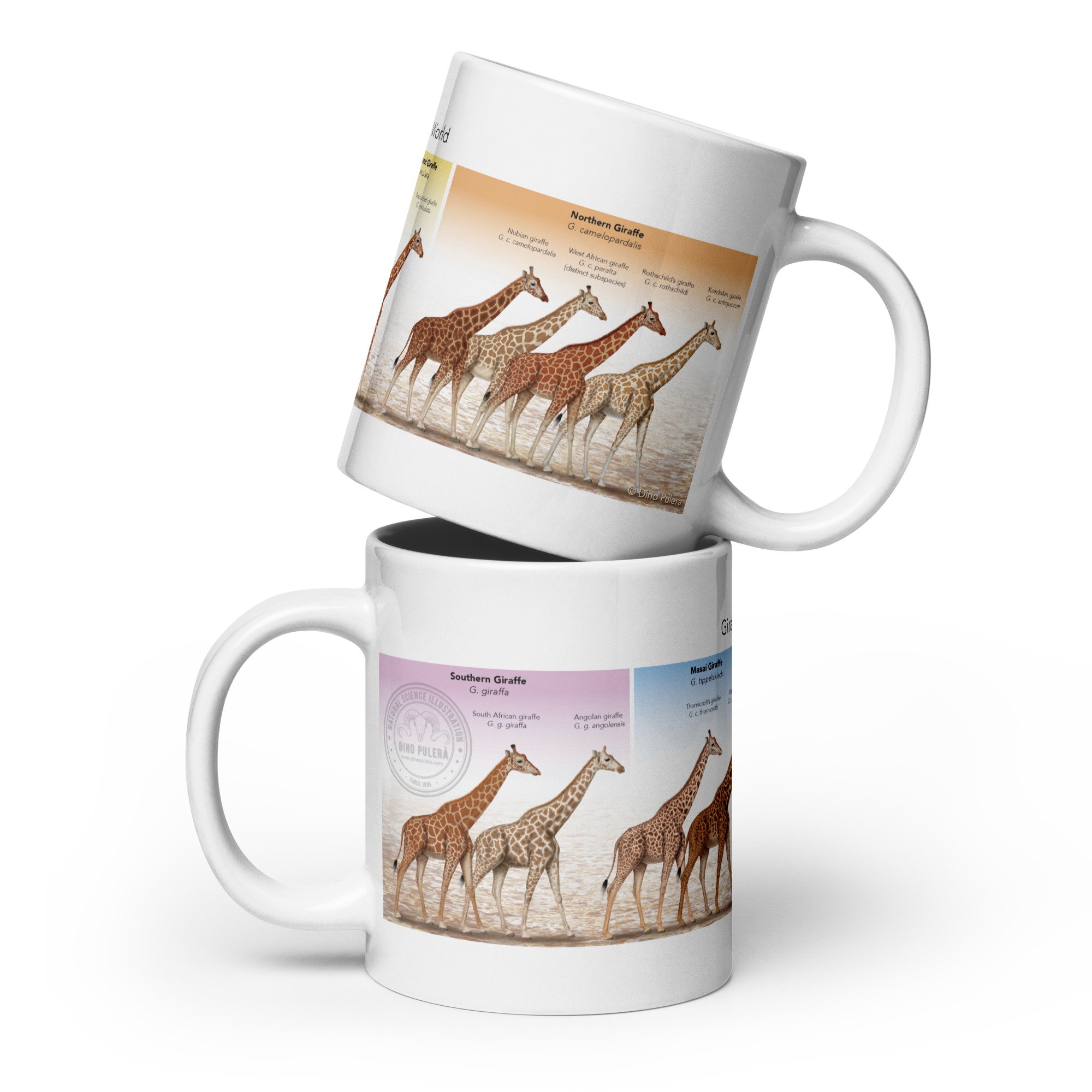 white-glossy-mug-white-20-oz-front-view-6859f05cebc88.jpg