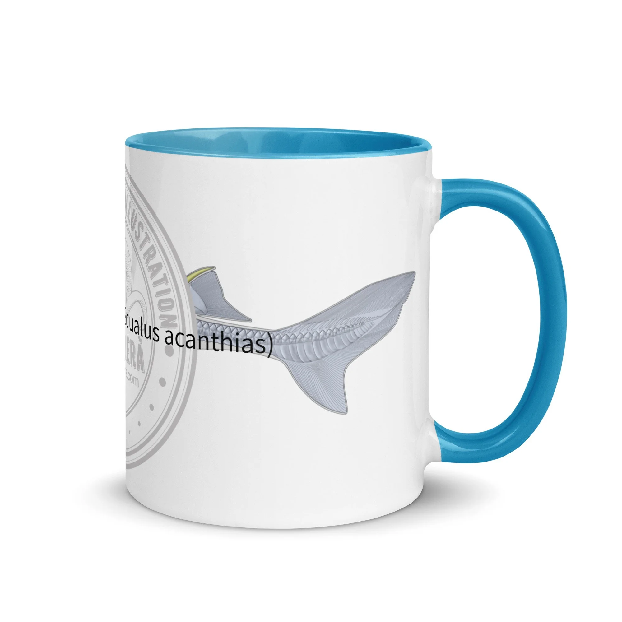 white-ceramic-mug-with-color-inside-blue-11-oz-right-68727258adc66.jpg
