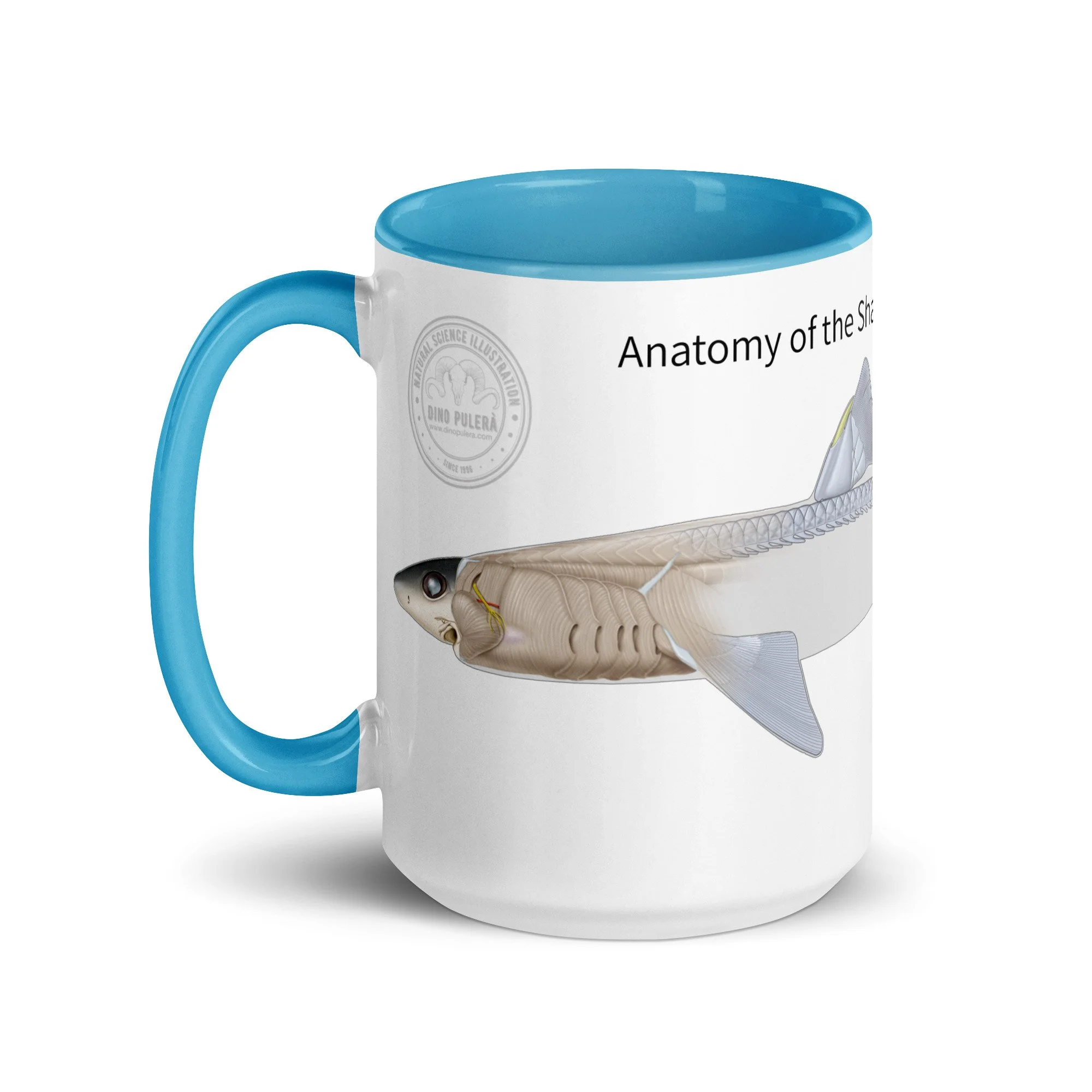 white-ceramic-mug-with-color-inside-blue-15-oz-left-68727258ade2c.jpg