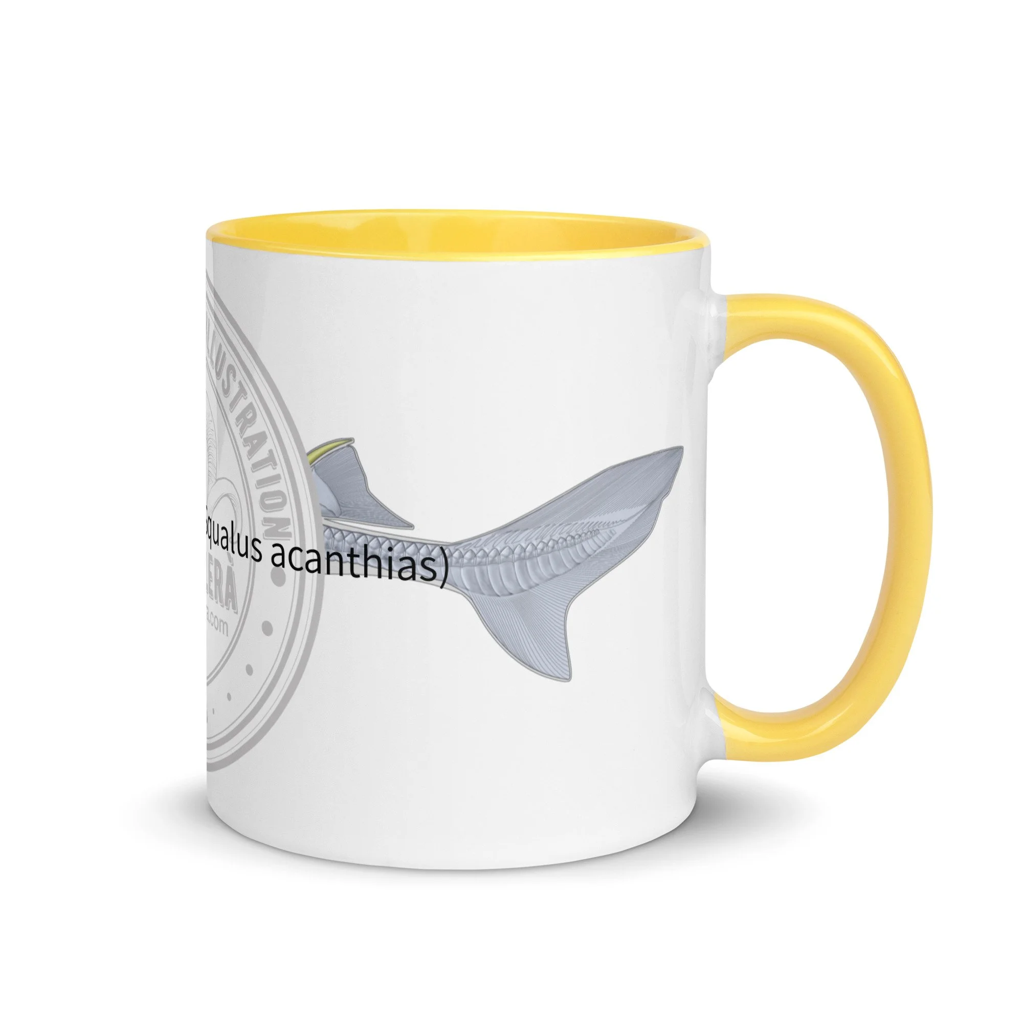 white-ceramic-mug-with-color-inside-yellow-11-oz-right-68727258aded1.jpg