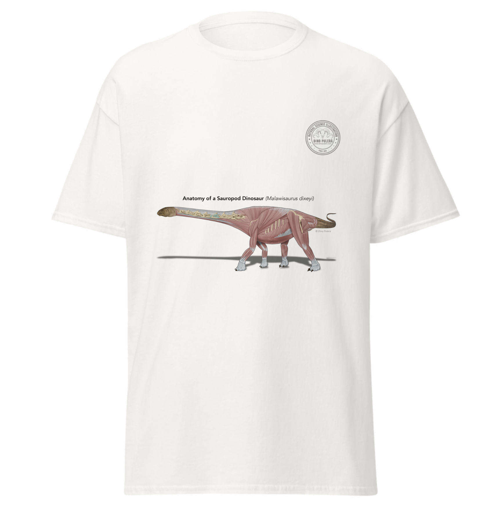 Sauropod dinosaur anatomy T-shirt.png