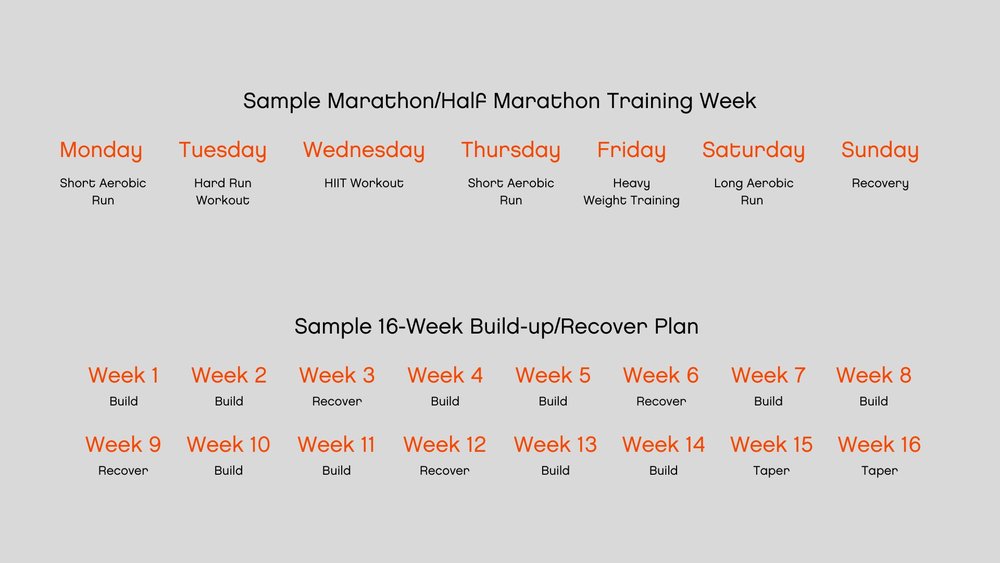 Strength Training Exercises For Menopause Strength Training Exercises For Menopause
