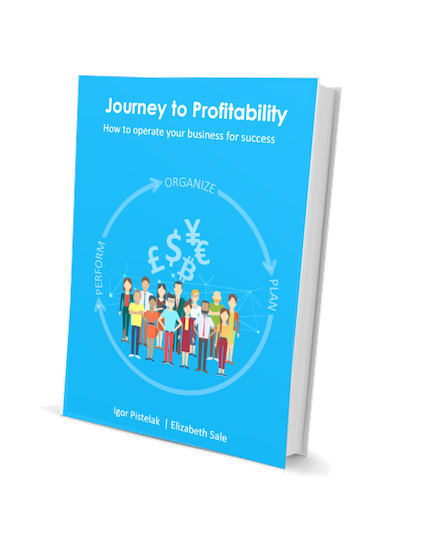 The Journey to Profitability