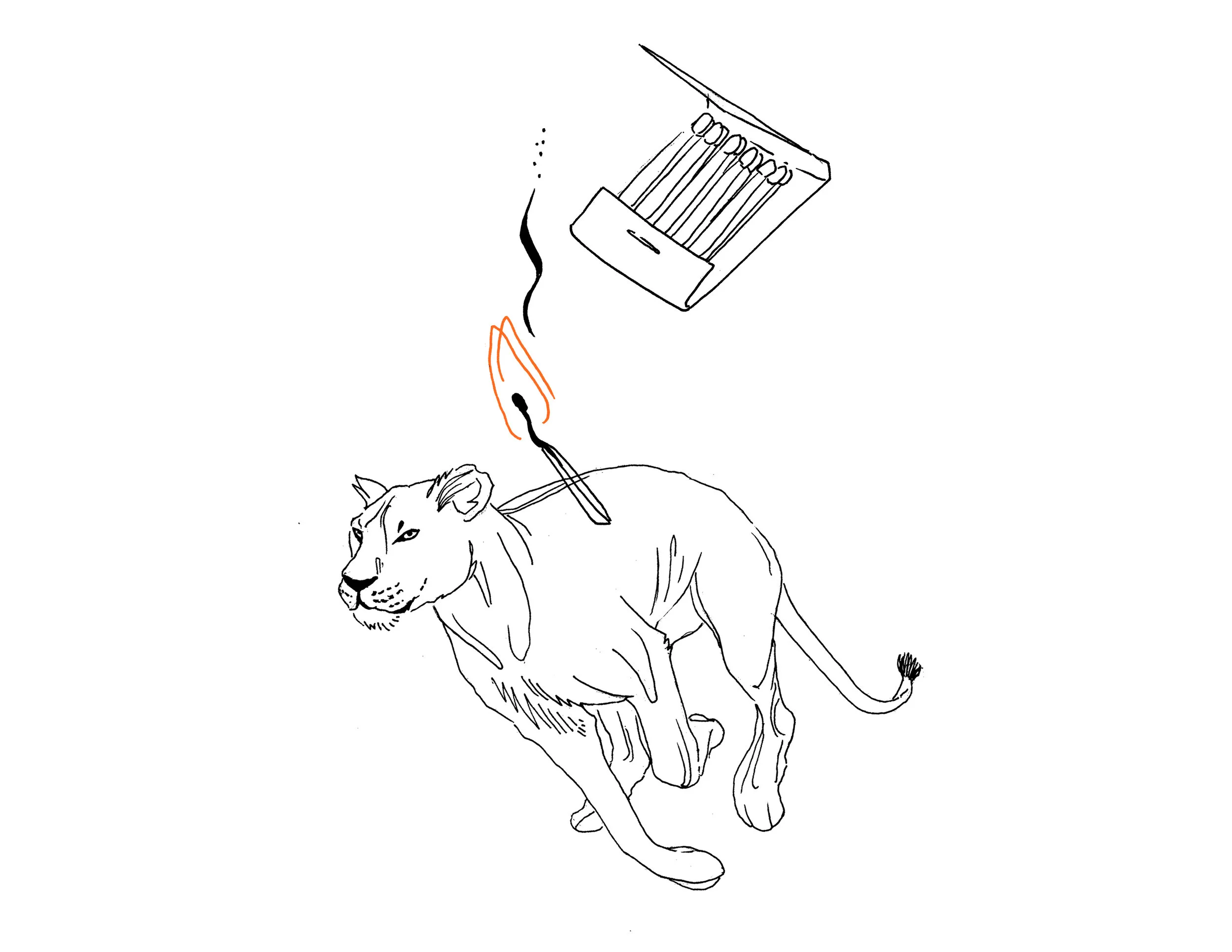 TATTOO_Flash_Lioness.jpg