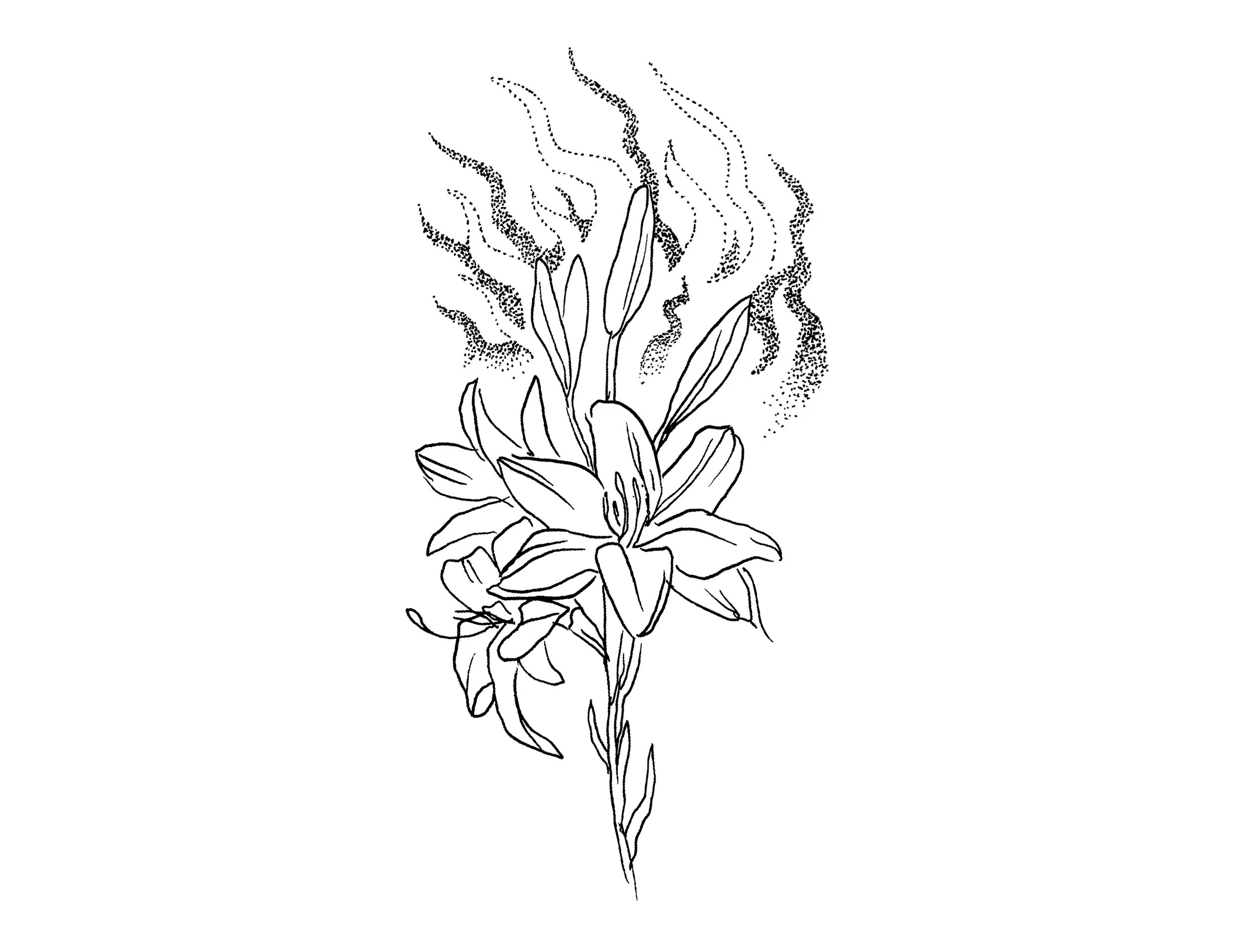 flaming lily.jpg
