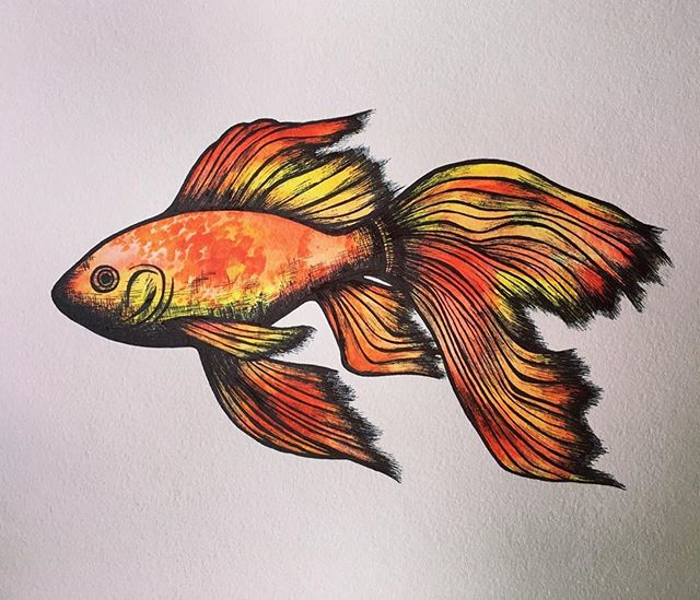 Repost from @emthejackalope
・・・
Fish time!
.
.
.
.
#fish #fishart #artsnacks @artsnacks #watercolor #watercolors #paint #painting #danielsmithwatercolor #worldwatercolormonth #nationalwatercolormonth #ink #inkart #inkdrawing #inkonpaper #art #swim #f