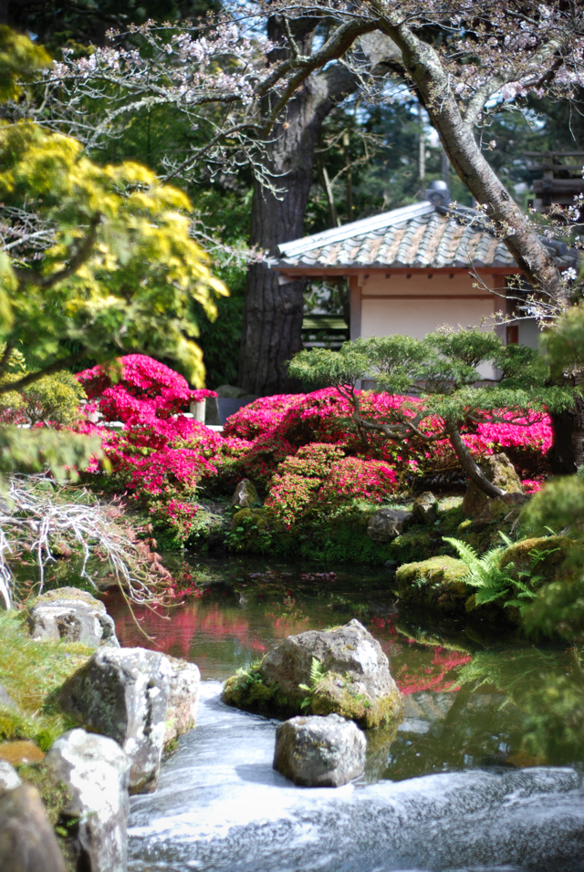 LaurylLane-JapaneseTeaGarden-15
