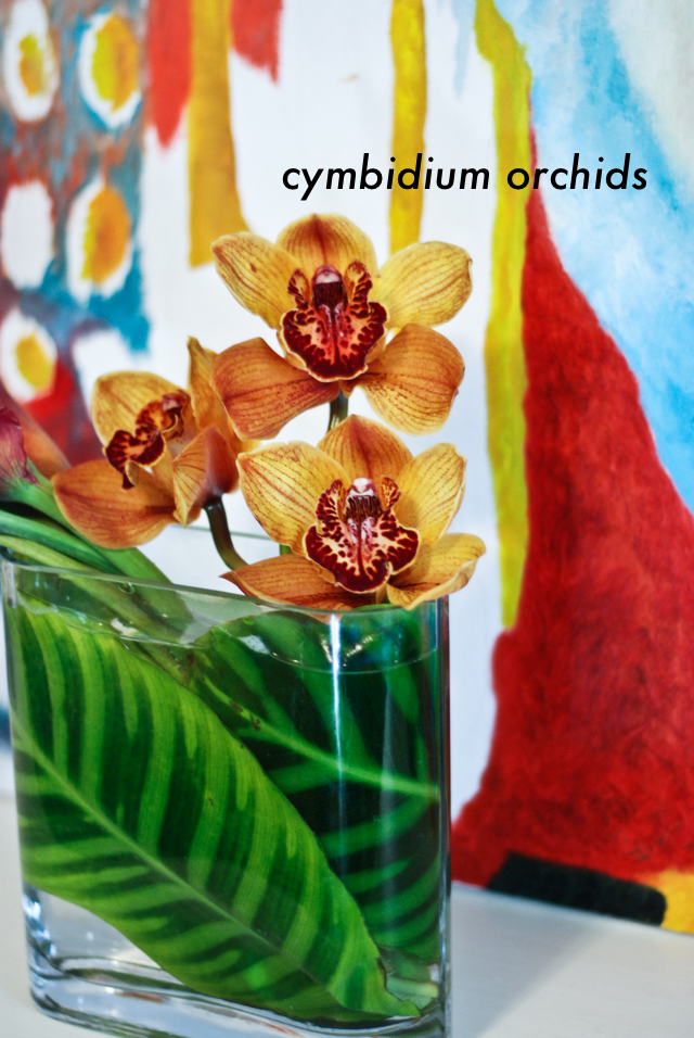 LaurylLane-Tropicals-02