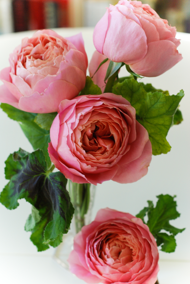 LaurylLane-GardenRoseQuad-2