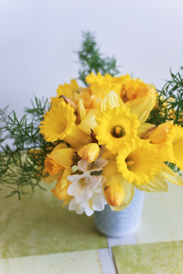 LaurylLane-Daffodils-04