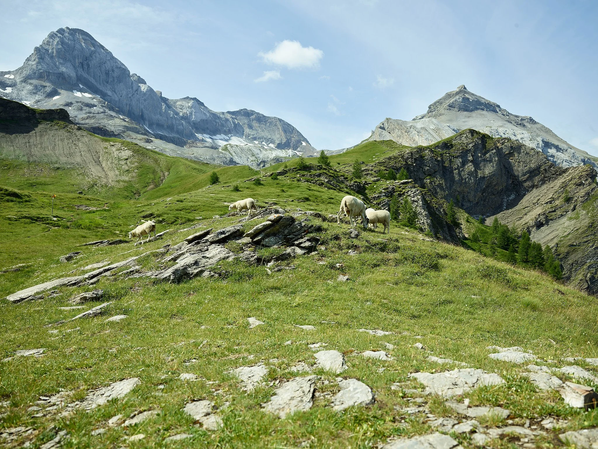Flueseeli X, Flueseehorn, hinten Laufbodenhorn