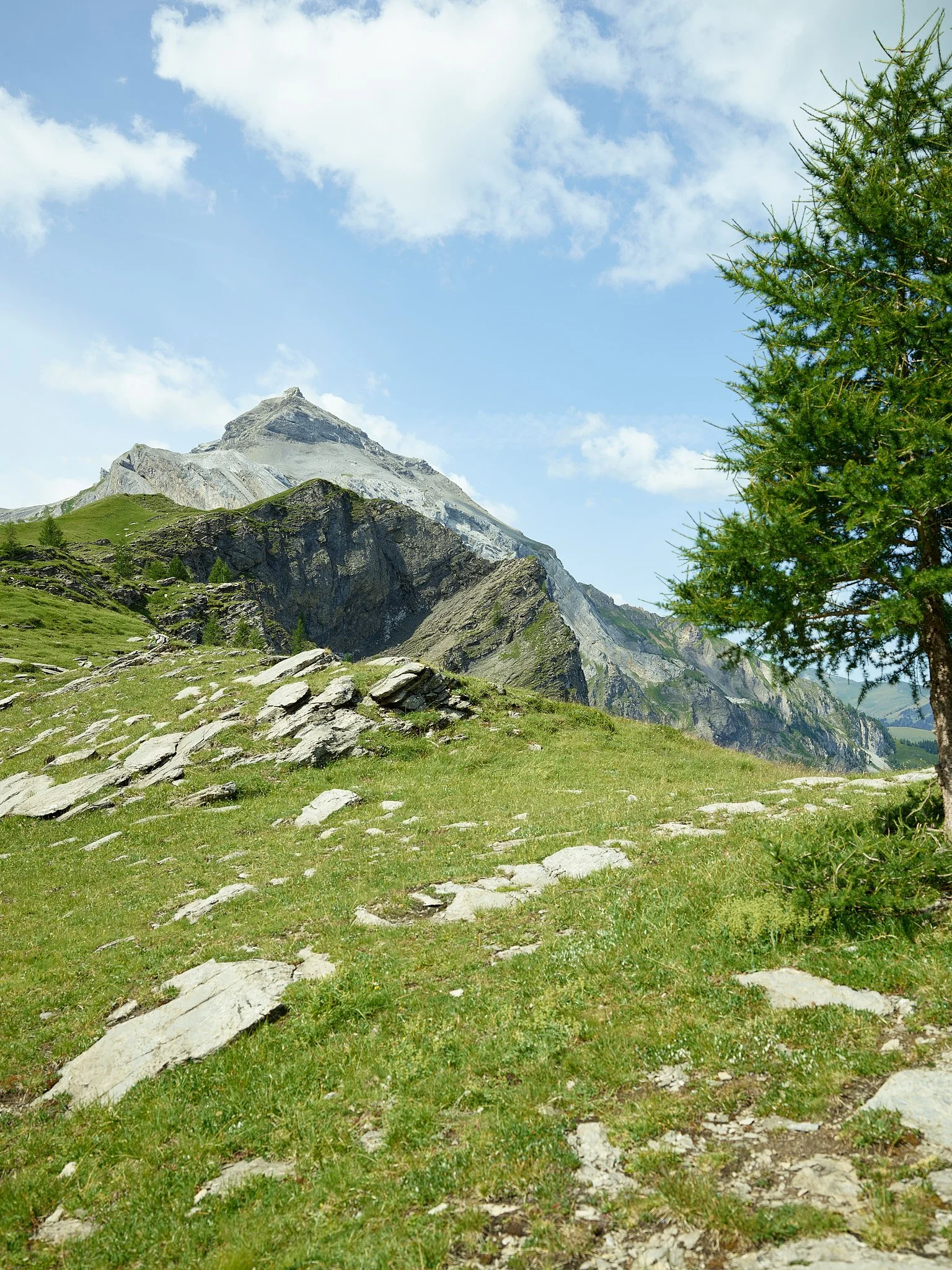 Flueseeli VII, Flueseehorn, hinten Laufbodenhorn