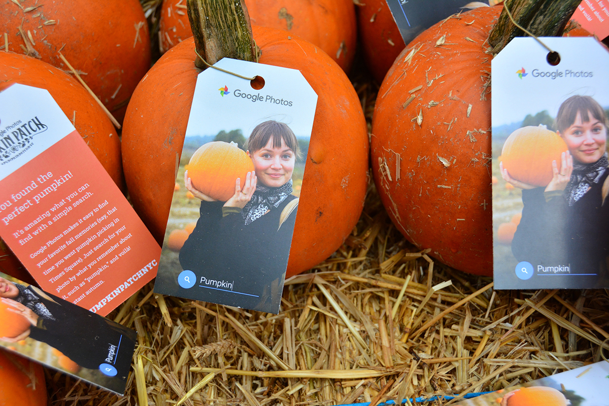Hangtags on pumpkins informed visitors that finding the perfect pumpkin is easy with a simple "pumpkin" search on Google Photos.