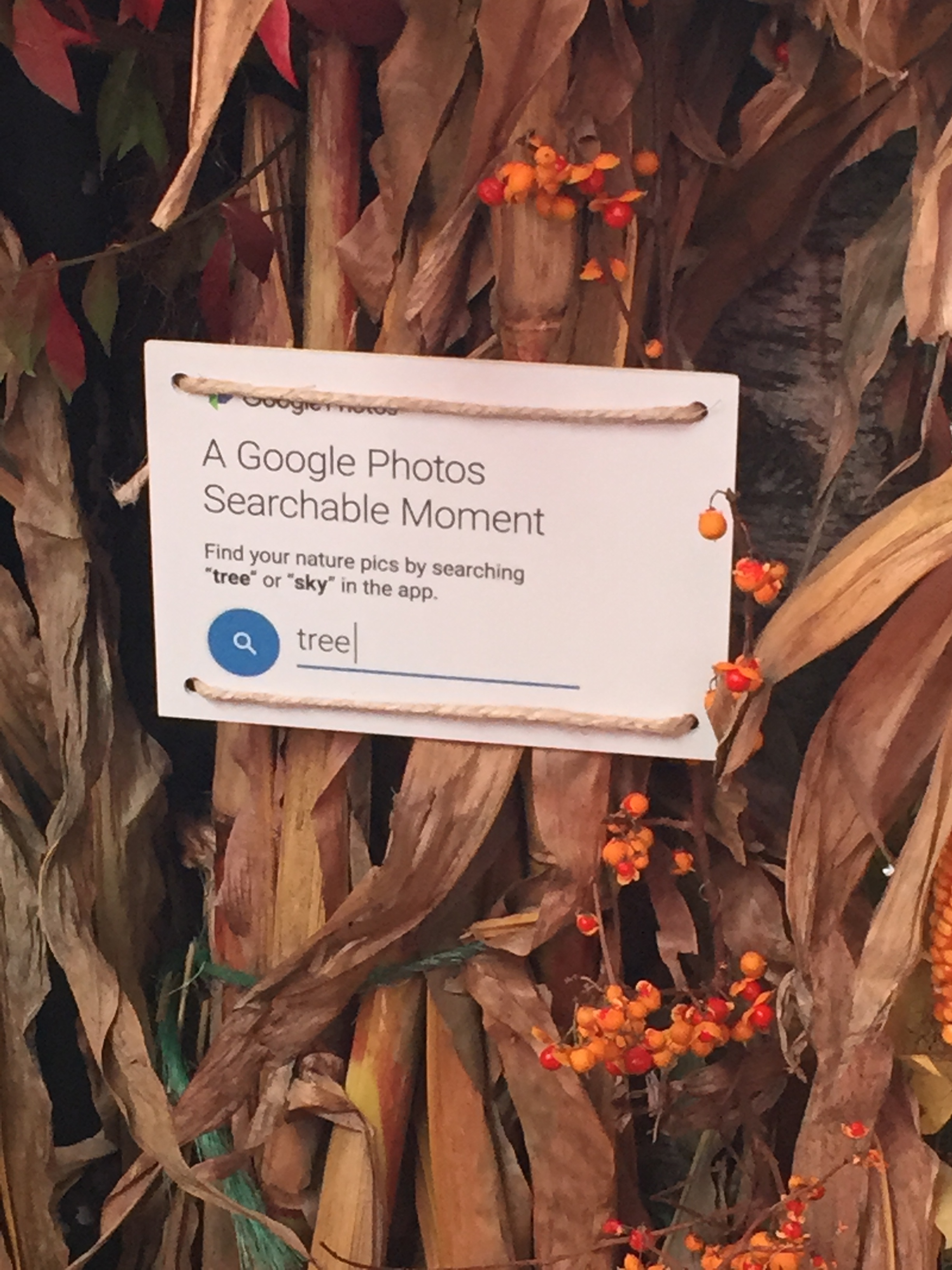 We created "Searchable Moments" around the event, encouraging visitors to snap pics, then search for them on Google Photos using suggested keywords.