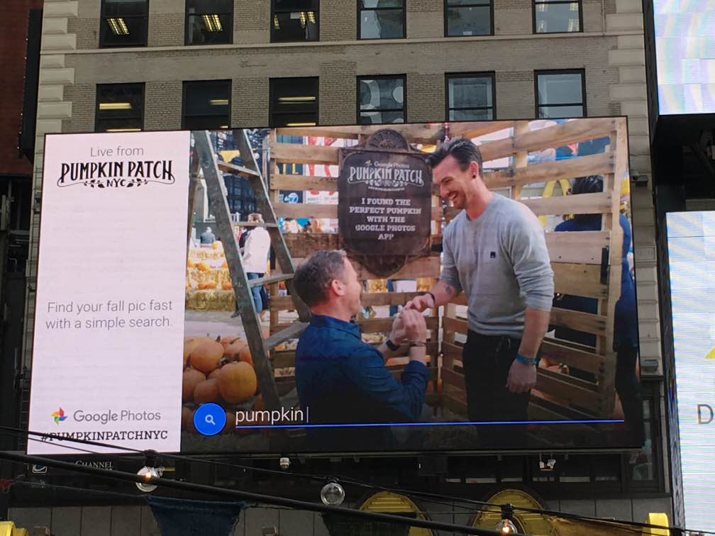 These guys got engaged! I don't think they understood the CTA. But they will always be able to find their engagement photo by searching "pumpkin."