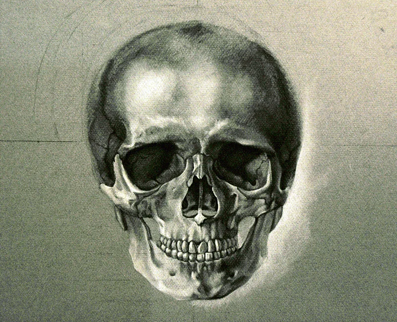 Skull