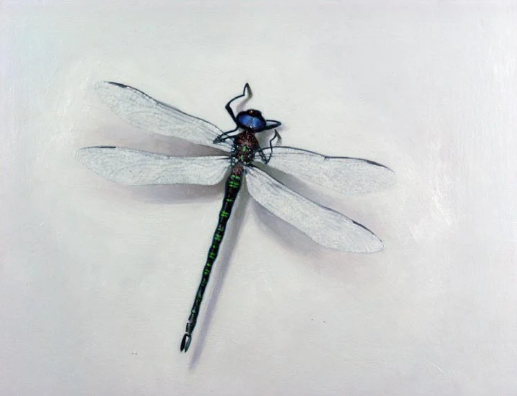 Dragonfly