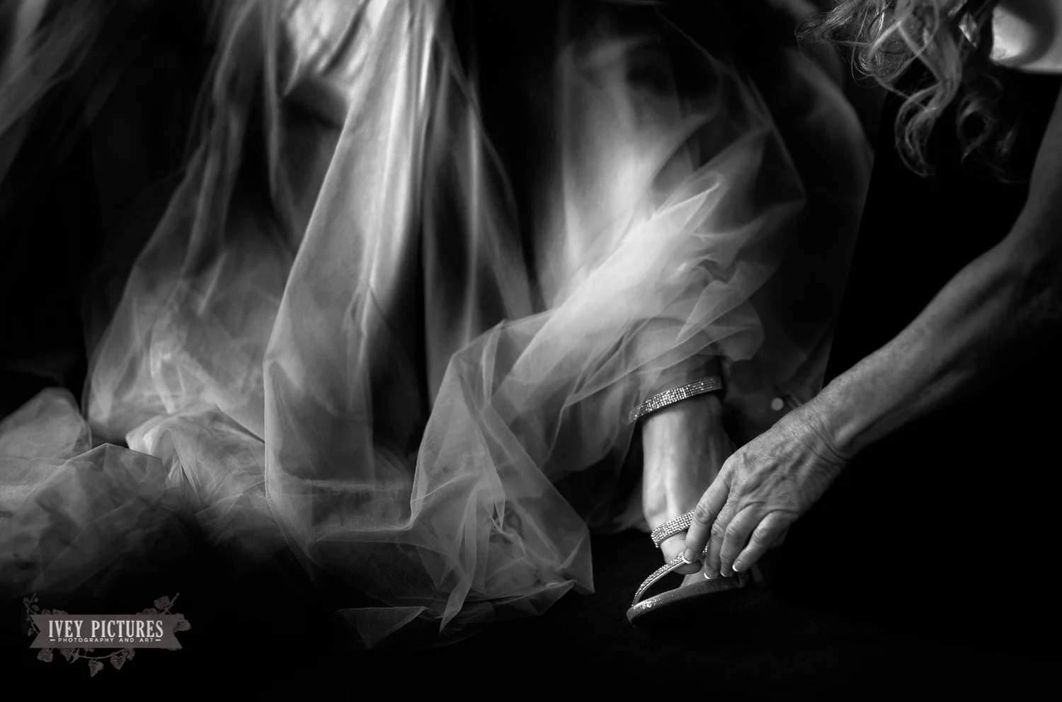 DOfavorites-7.jpg